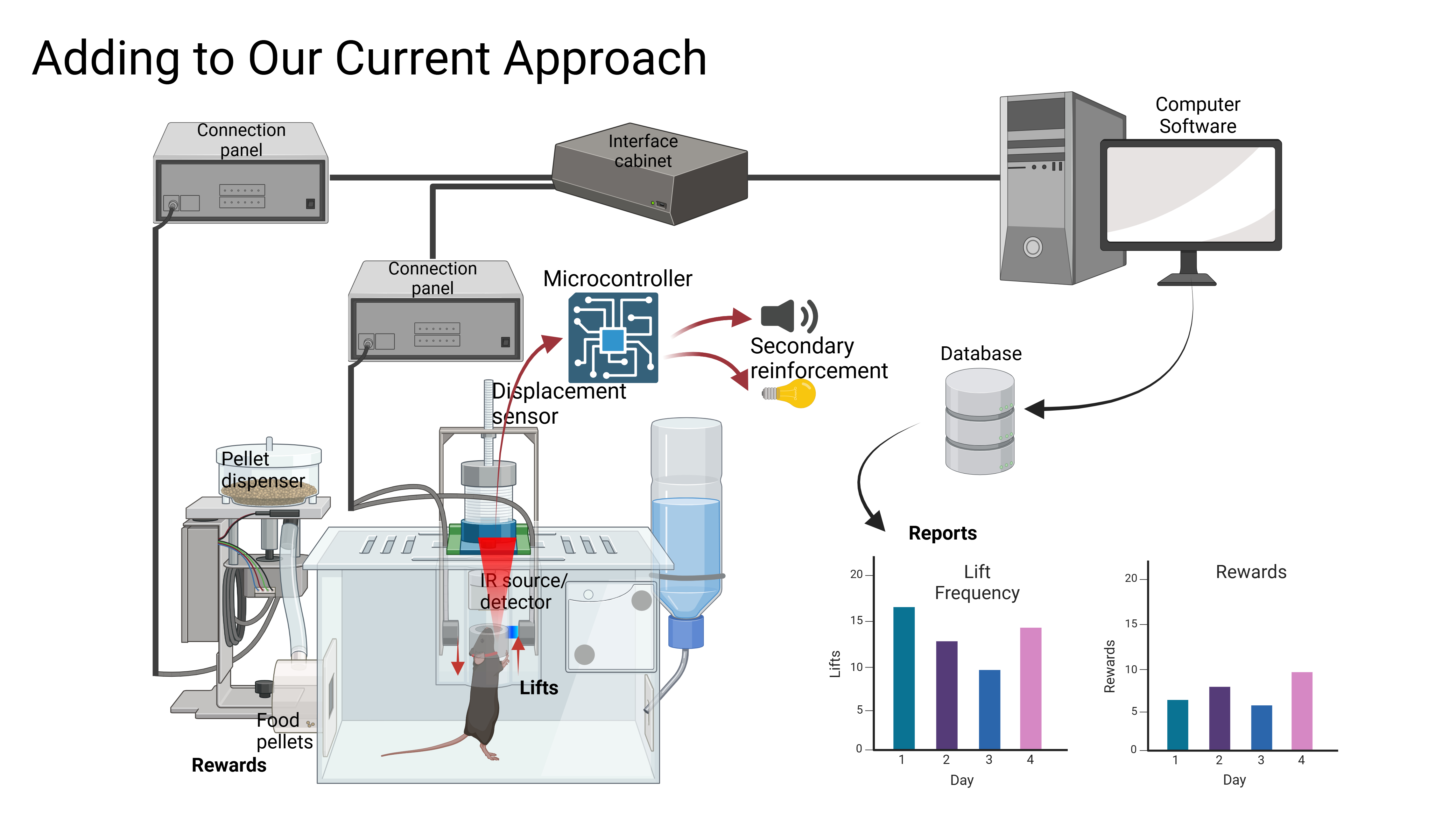 Research Software Engineer example 1